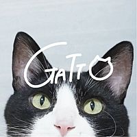 Show profile photo