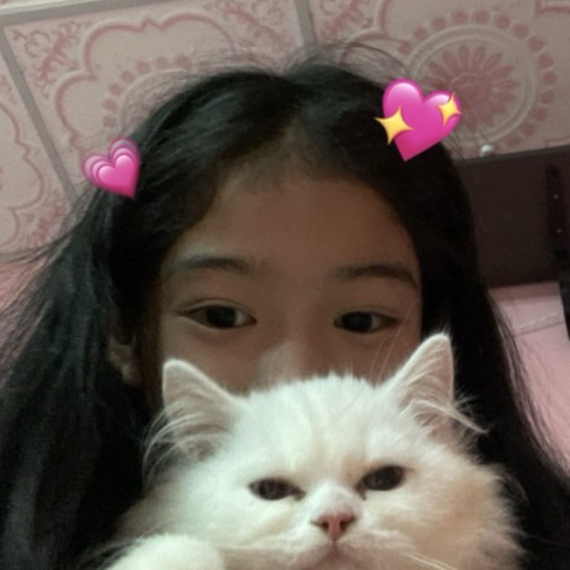 🧩จิ๊กซอว์🧩