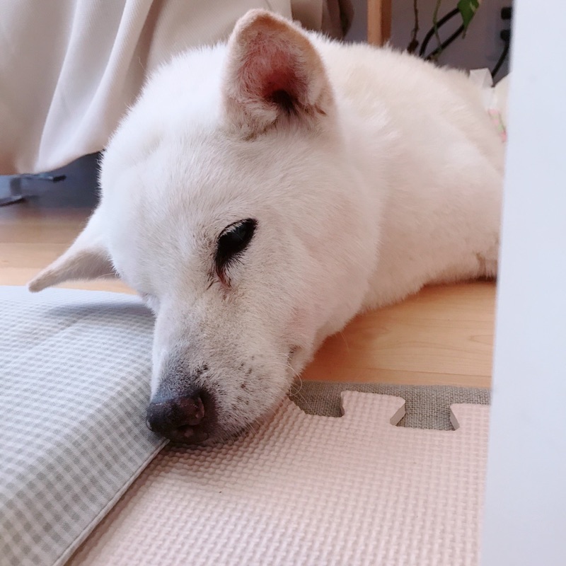 あまの