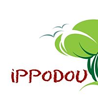 Show profile photo