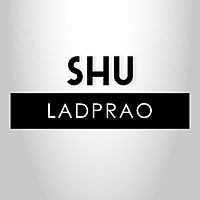 Show profile photo