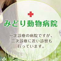 Show profile photo