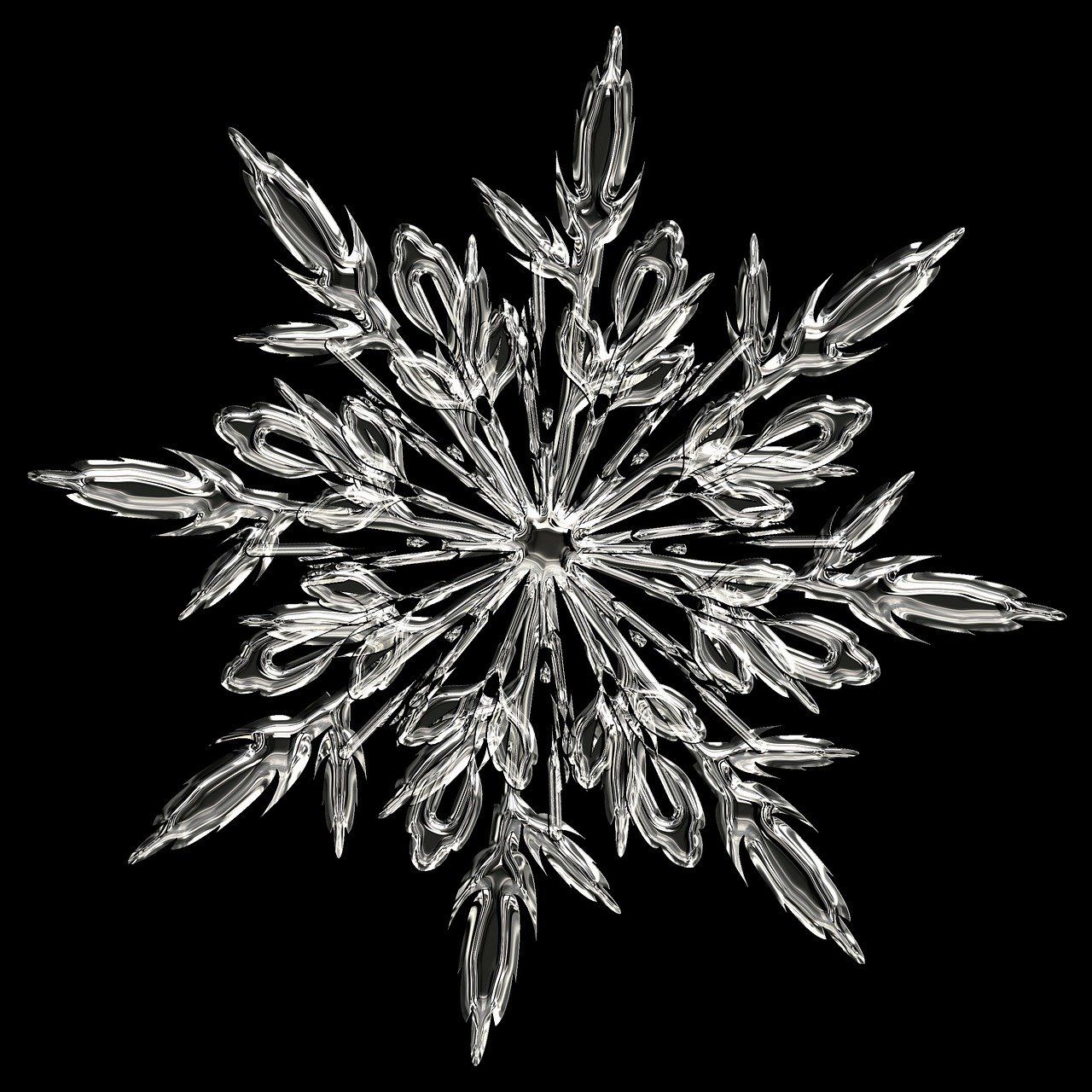 ❄雪豹❄