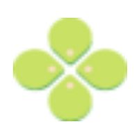 Show profile photo