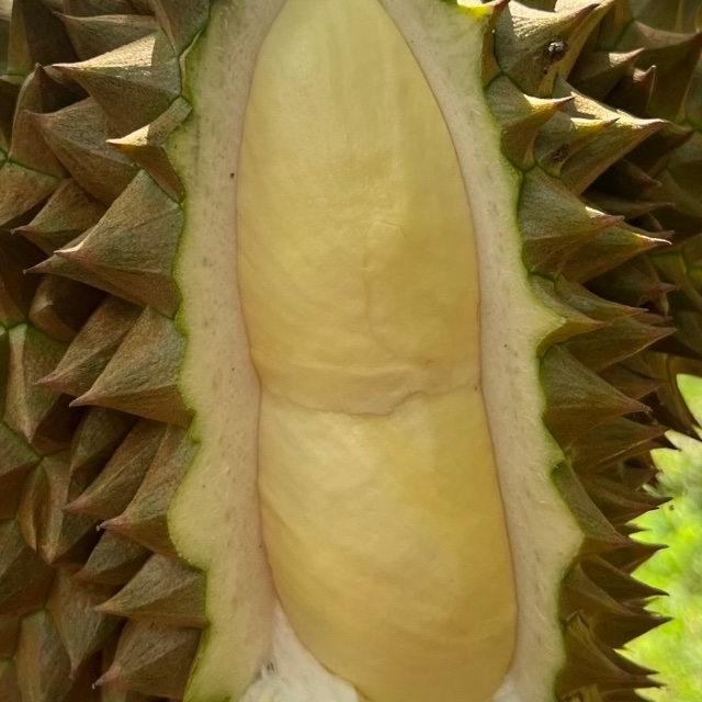 An Image