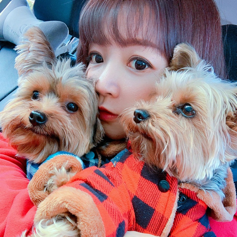 ❤彭小瑛💕的頭像