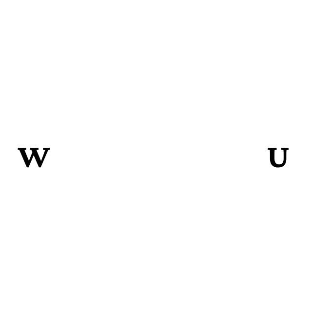 An Image