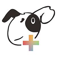 Show profile photo