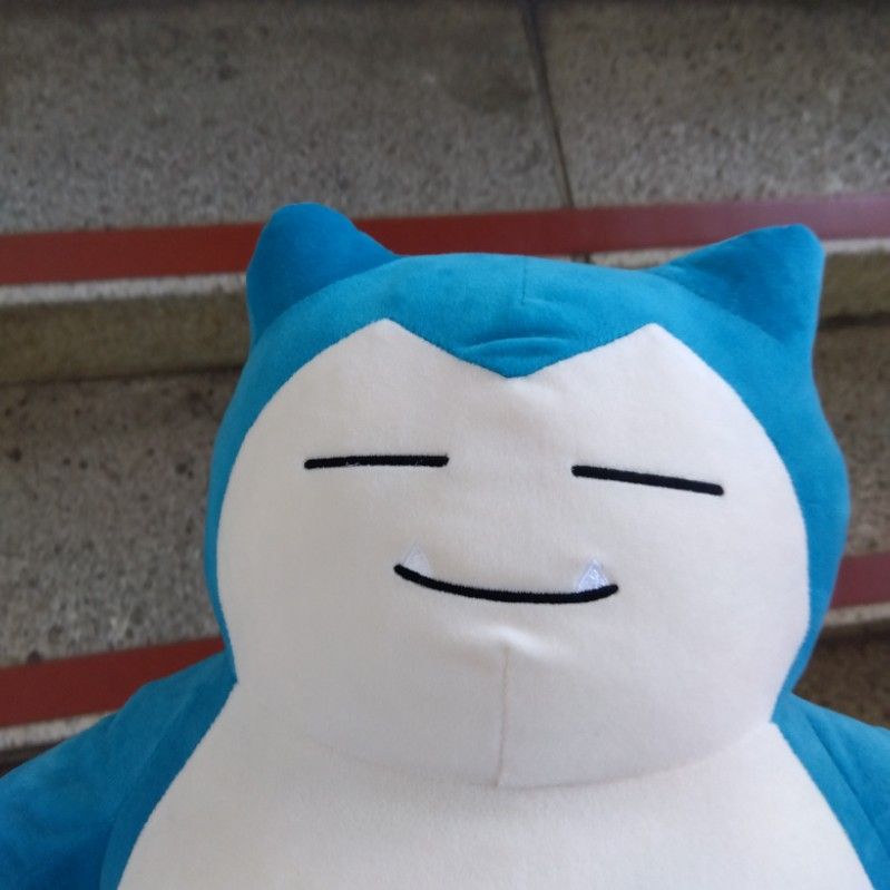 さくこうの写真