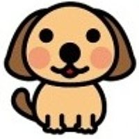 Show profile photo
