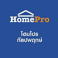 Show profile photo