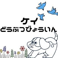 Show profile photo