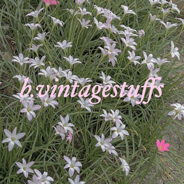 An Image