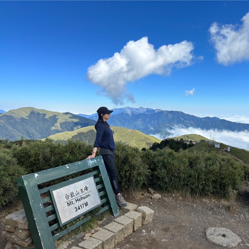 Nancy(淑菁）🌻🌻的頭像