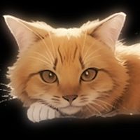 Show profile photo