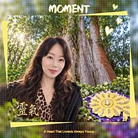 Show profile photo