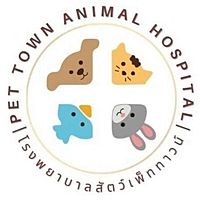 Show profile photo