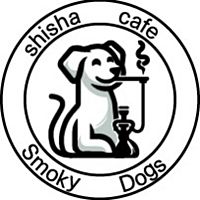 Show profile photo