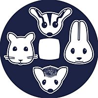 Show profile photo