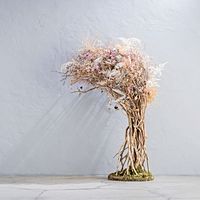 Show profile photo