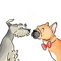 Show profile photo