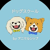 Show profile photo