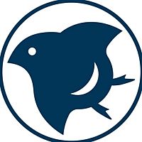 Show profile photo