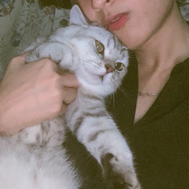 วีน