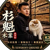 Show profile photo