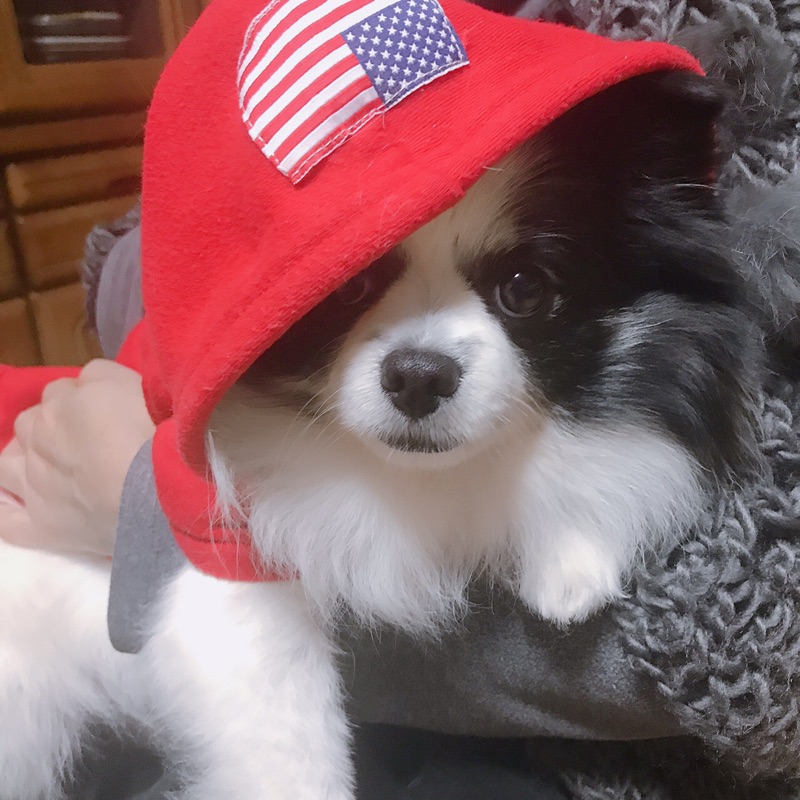 レナ