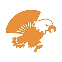 Show profile photo