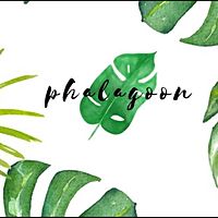 Show profile photo