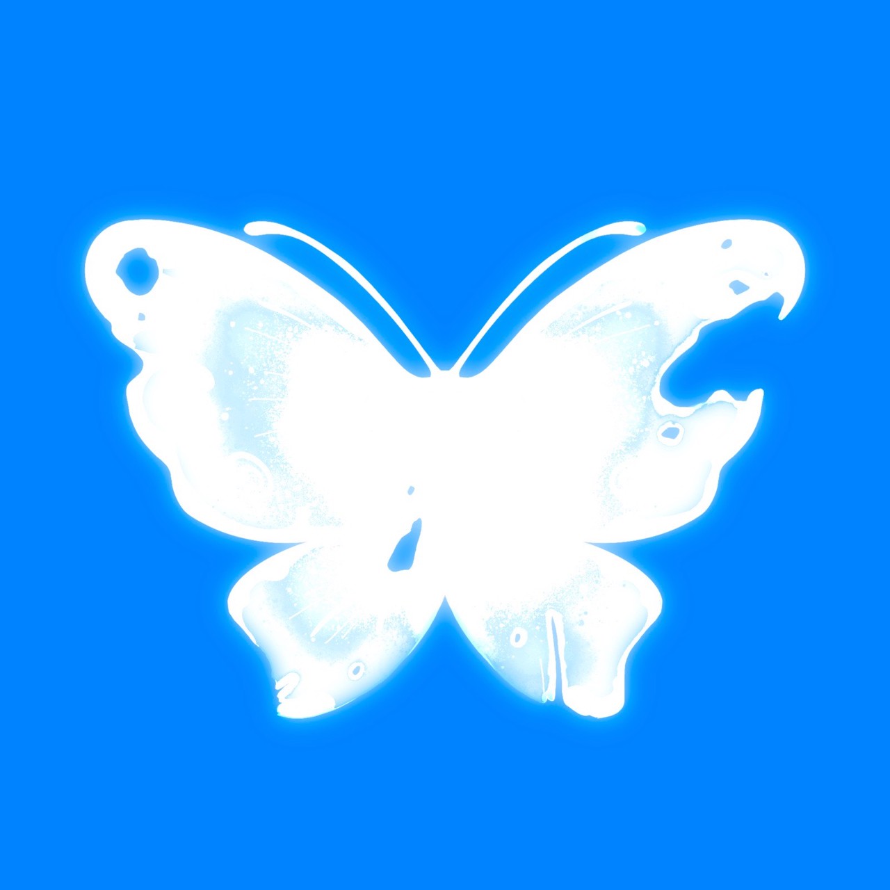 An Image