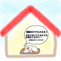 Show profile photo