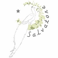 Show profile photo