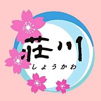 Show profile photo