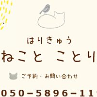 Show profile photo
