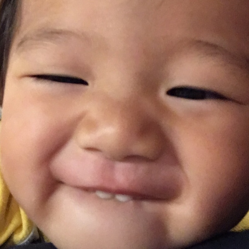 山本 あゆみ