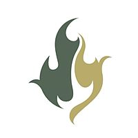 Show profile photo
