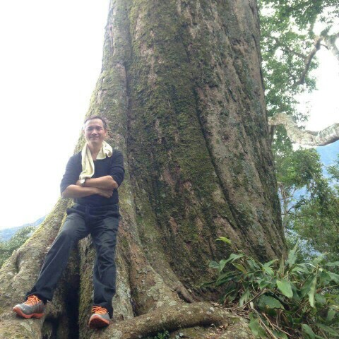 林祐陞vat的頭像