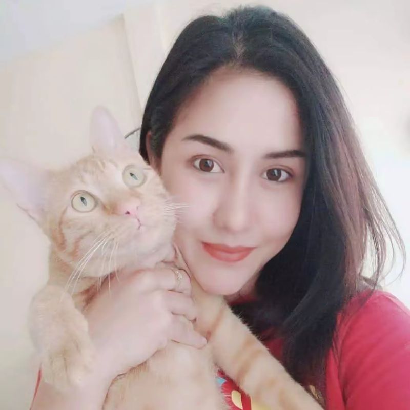 พาณิภัค