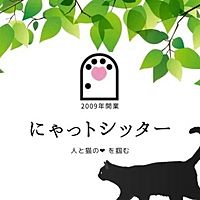 Show profile photo