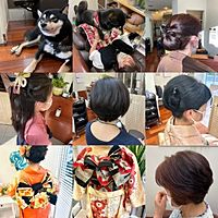 Show profile photo