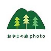 Show profile photo