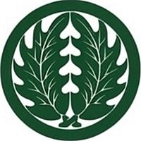 Show profile photo