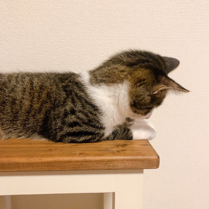 ぽ