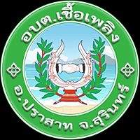 Show profile photo