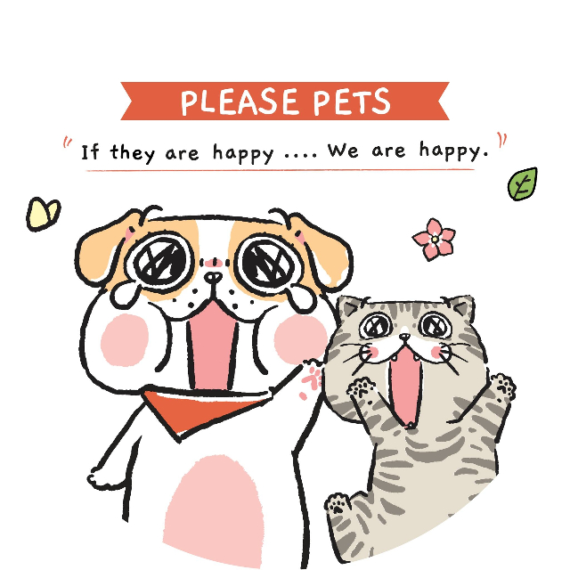An Image