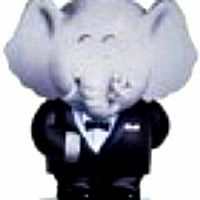 Show profile photo