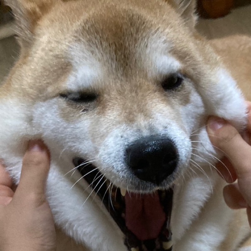 加藤 鈴乃